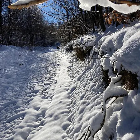 Brvnara Leska * Jarmenovci