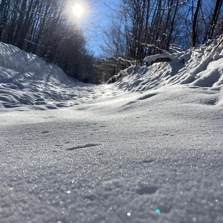 Brvnara Leska 아파트 *