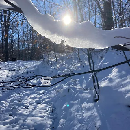 شقة Brvnara Leska Jarmenovci