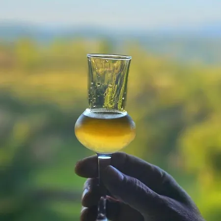 Brvnara Leska Lägenhet Jarmenovci