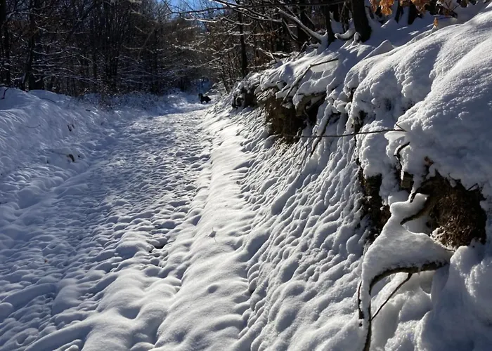 Brvnara Leska * Jarmenovci