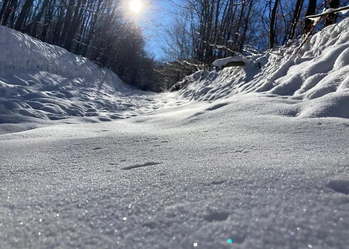 Brvnara Leska Apartman *