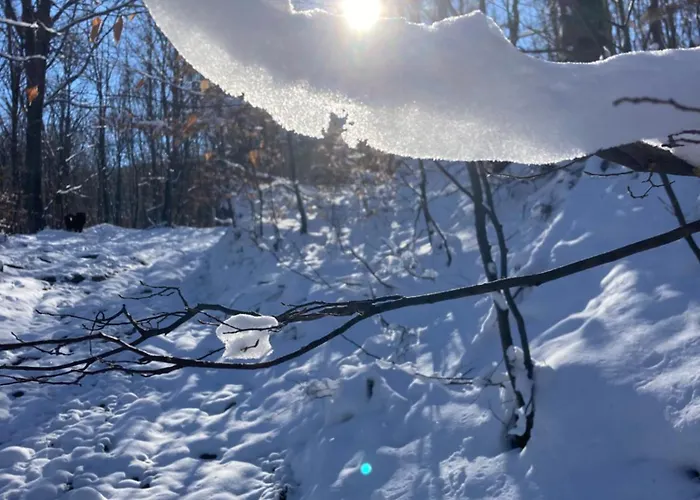 Apartman Brvnara Leska Jarmenovci