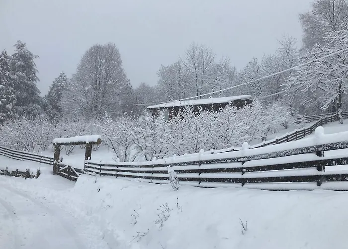 Apartman Brvnara Leska